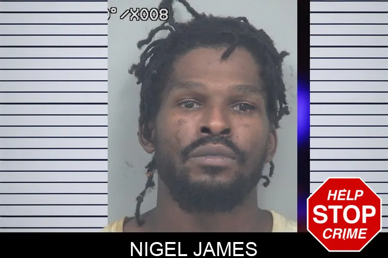 Nigel James mugshot – Gwinnett County , Georgia Nigel James mugshot