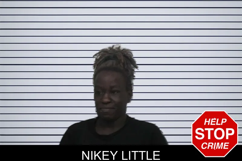 Nikey Little mugshot