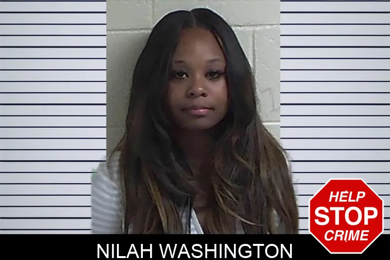 Nilah Washington mugshot – Fannin County , Georgia Nilah Washington mugshot