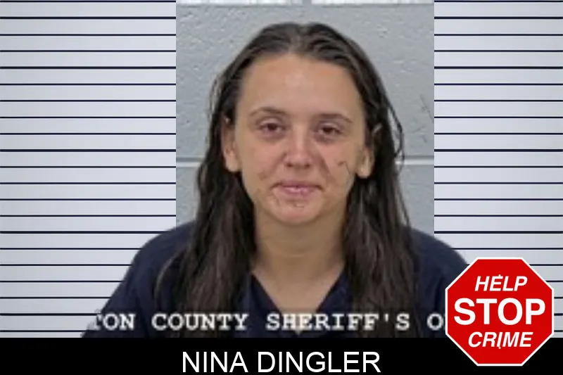 Nina Dingler mugshot
