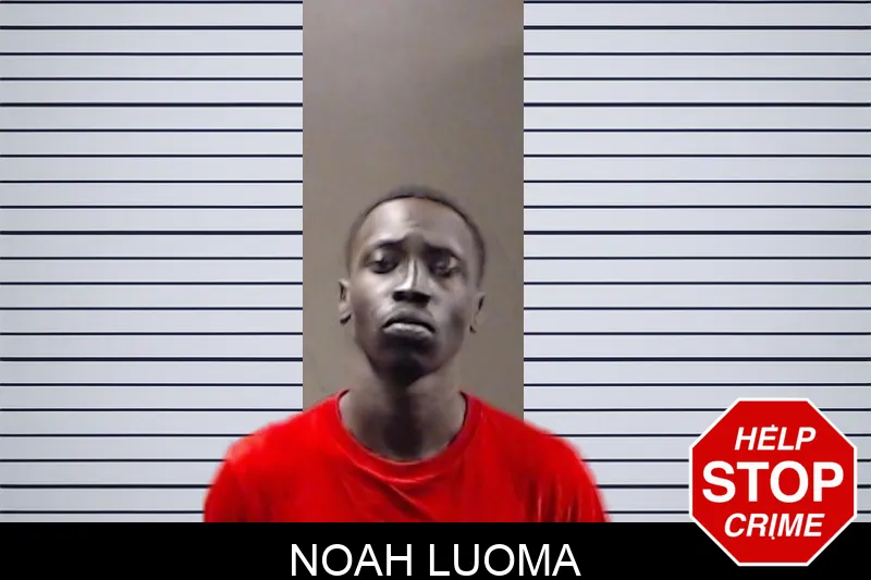 Noah Luoma mugshot