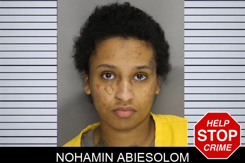 Nohamin Abiesolom mugshot – Cobb County , Georgia Nohamin Abiesolom mugshot