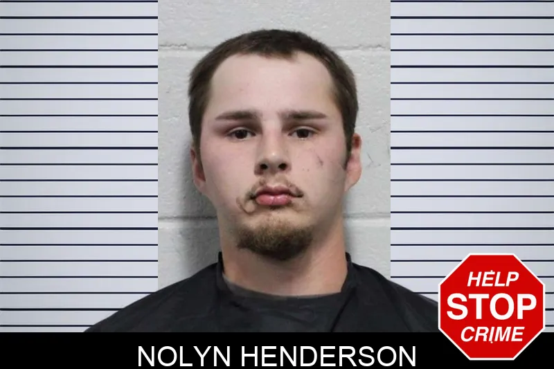 Nolyn Henderson mugshot – Habersham County , Georgia Nolyn Henderson mugshot