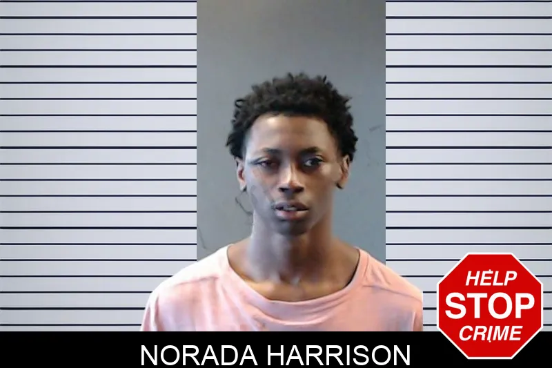 Norada Harrison mugshot – DeKalb County , Georgia Norada Harrison mugshot