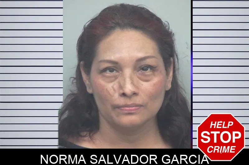 Norma Salvador Garcia mugshot – Gwinnett County , Georgia Norma Salvador Garcia mugshot