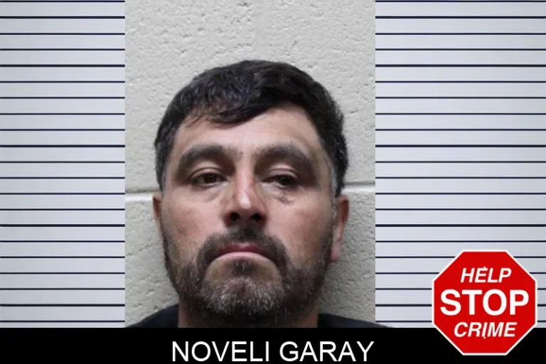 Noveli Garay mugshot – Haralson County , Georgia Noveli Garay