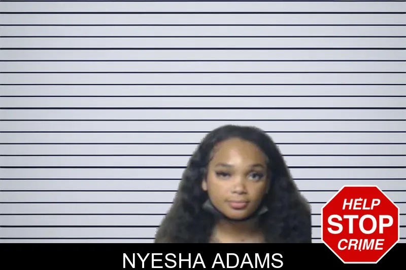 Nyesha Adams mugshot – DeKalb County , Georgia Nyesha Adams mugshot