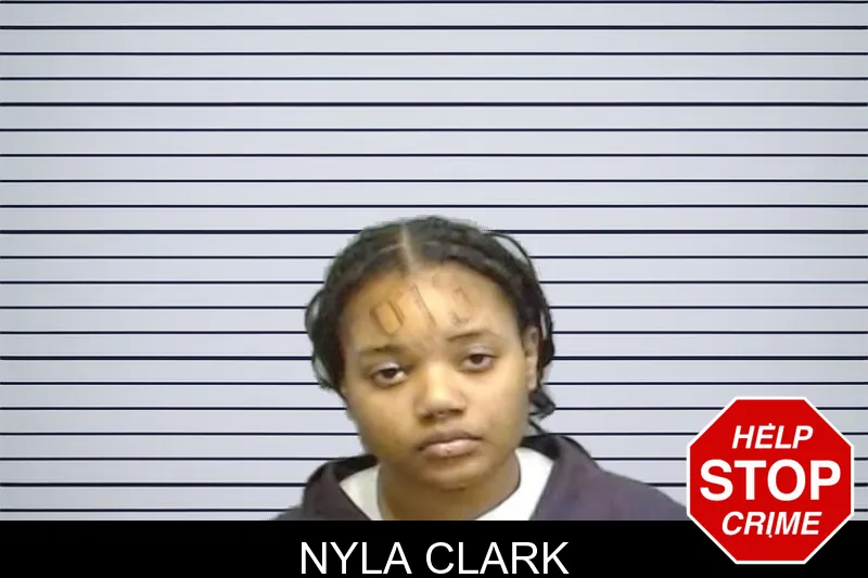 Nyla Clark mugshot – Fulton County , Georgia Nyla Clark mugshot