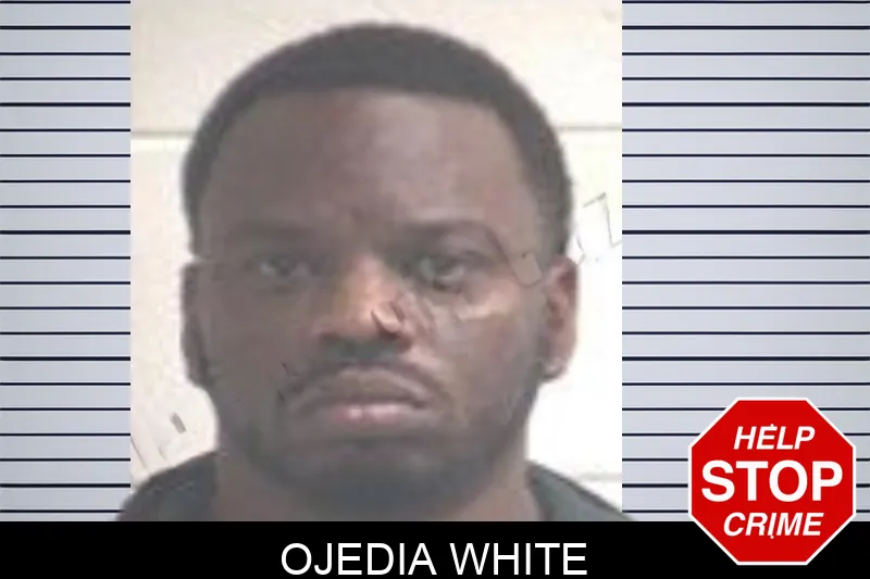 Ojedia White mugshot – Henry County , Georgia Ojedia White mugshot