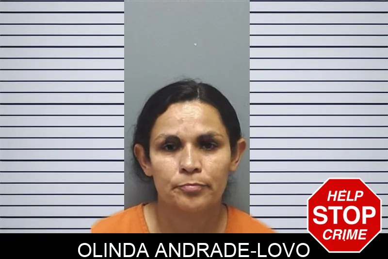 Olinda Andrade-Lovo mugshot – Cherokee County , Georgia Olinda Andrade-Lovo mugshot