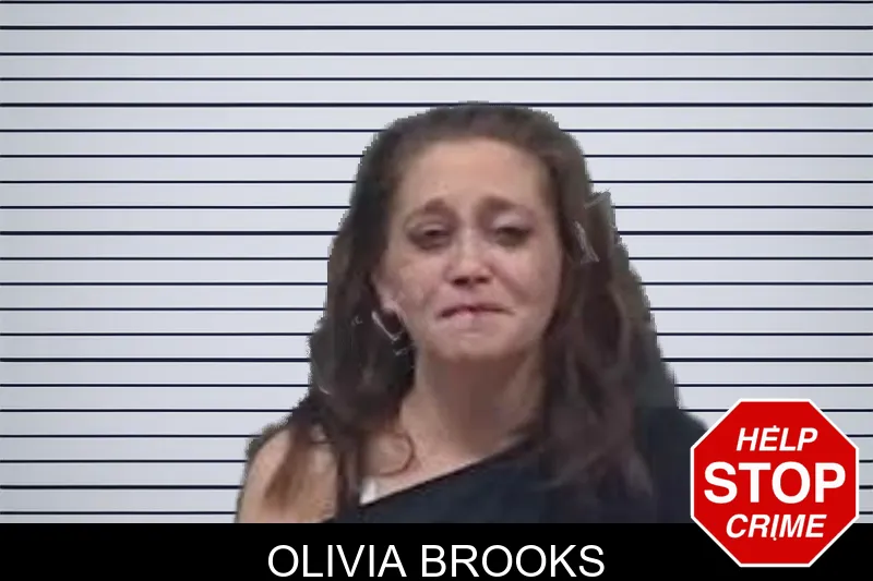 Olivia Brooks mugshot – Oglethorpe County , Georgia Olivia Brooks mugshot