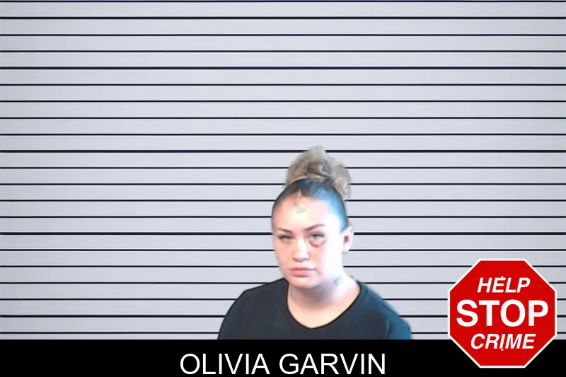 Olivia Garvin mugshot – DeKalb County , Georgia Olivia Garvin mugshot