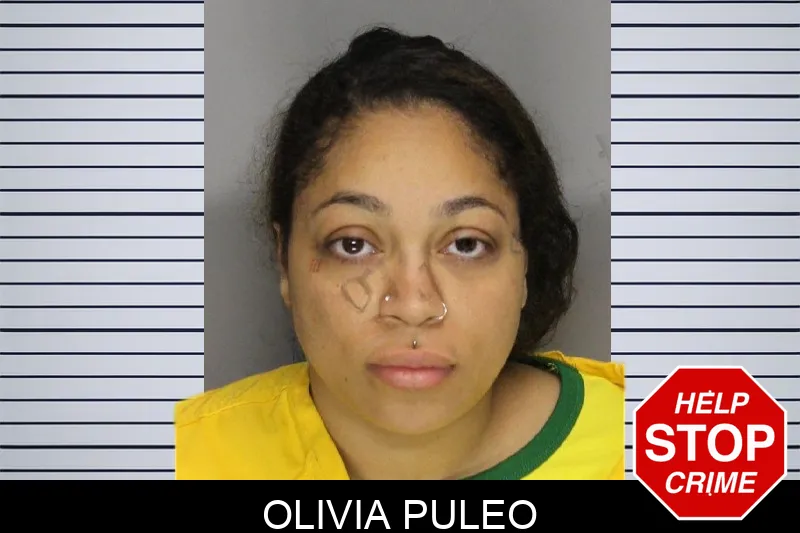 Olivia Puleo mugshot – Cobb County , Georgia Olivia Puleo mugshot