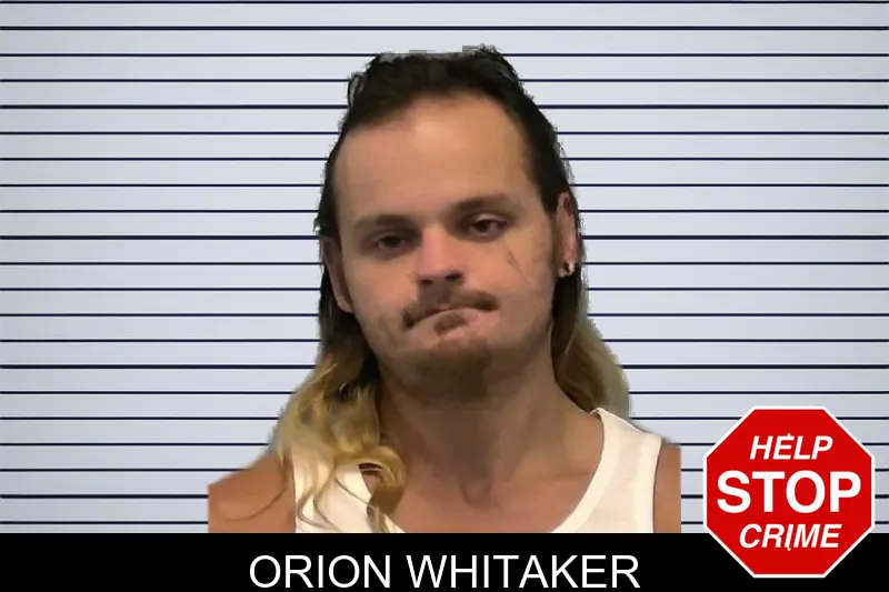 Orion Whitaker mugshot – Ware County , Georgia Orion Whitaker mugshot