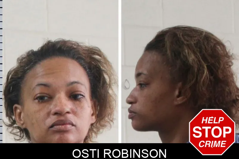 Osti Robinson mugshot – Houston County , Georgia Osti Robinson mugshot