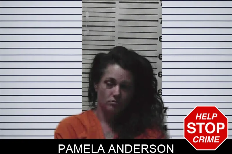 Pamela Anderson mugshot – Meriwether County , Georgia Pamela Anderson mugshot