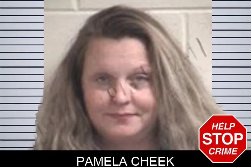 Pamela Cheek mugshot – Henry County , Georgia Pamela Cheek mugshot