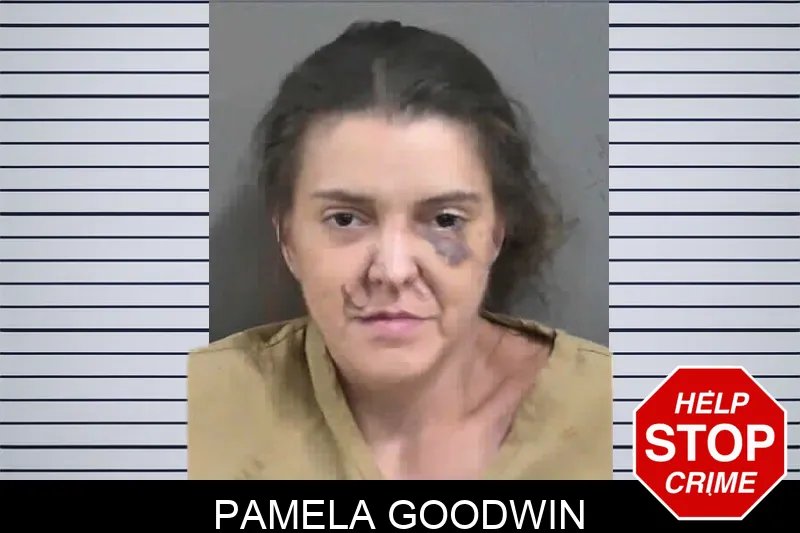 Pamela Goodwin mugshot