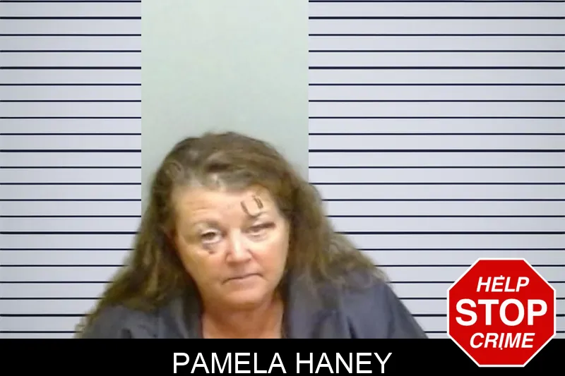 Pamela Haney mugshot