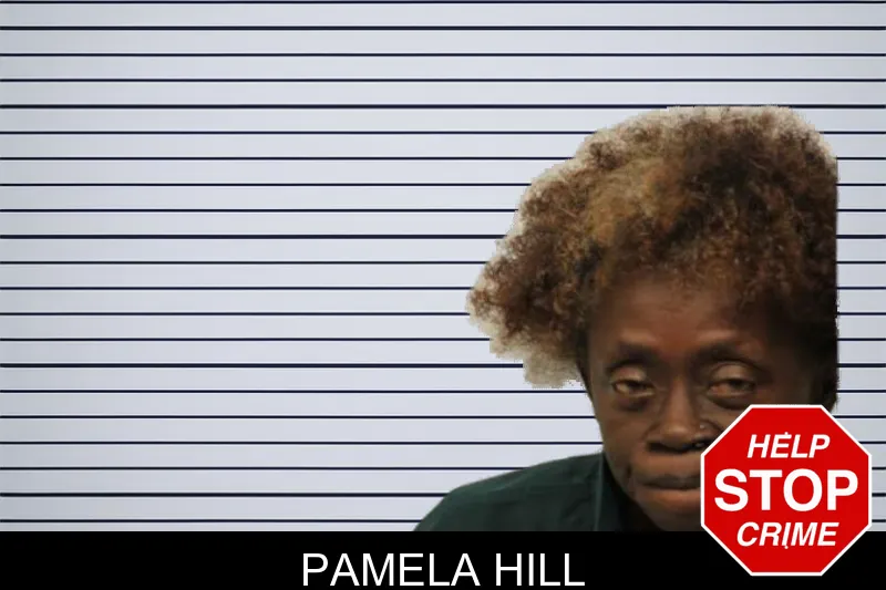 Pamela Hill mugshot