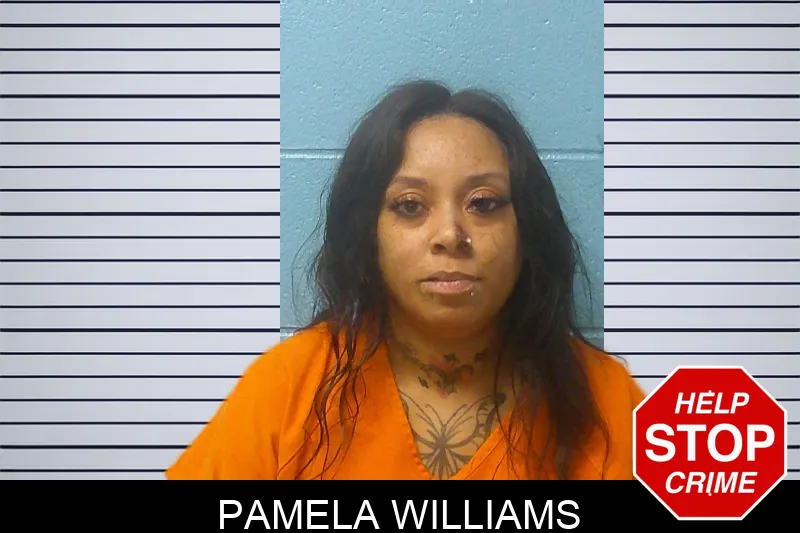 Pamela Williams mugshot
