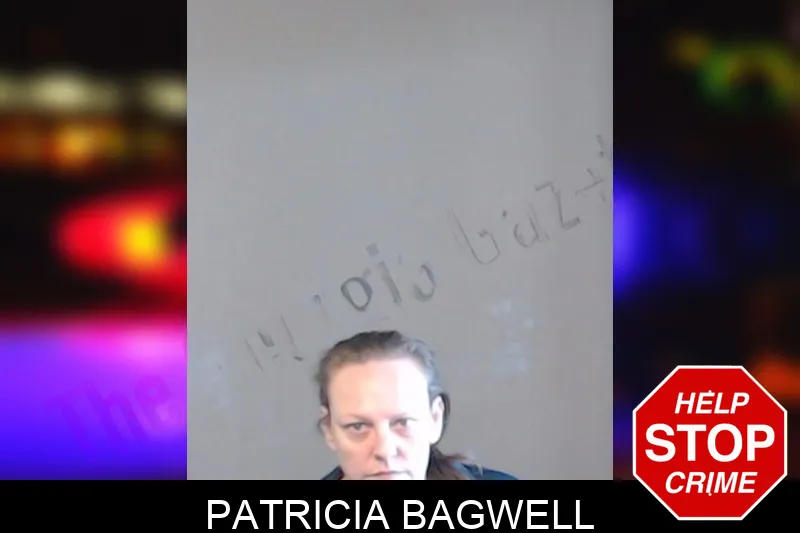 Patricia Bagwell mugshot – DeKalb County , Georgia Patricia Bagwell mugshot