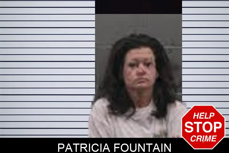 Patricia Fountain mugshot