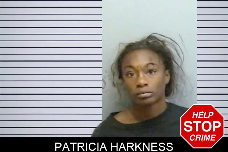 Patricia Harkness mugshot