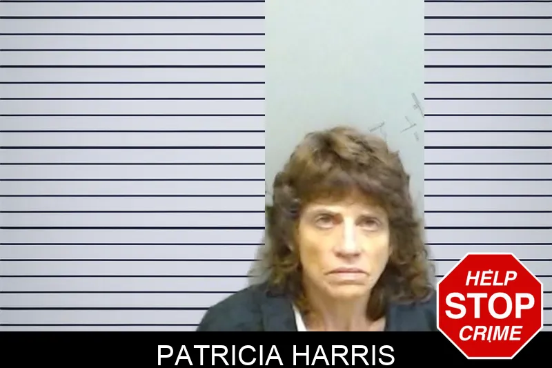 Patricia Harris mugshot – Fulton County , Georgia Patricia Harris mugshot