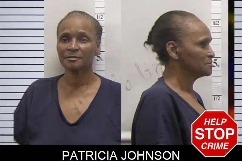 Patricia Johnson mugshot