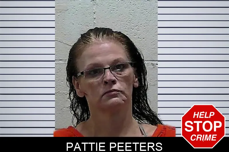 Pattie Peeters mugshot – Pierce County , Georgia Pattie Peeters mugshot
