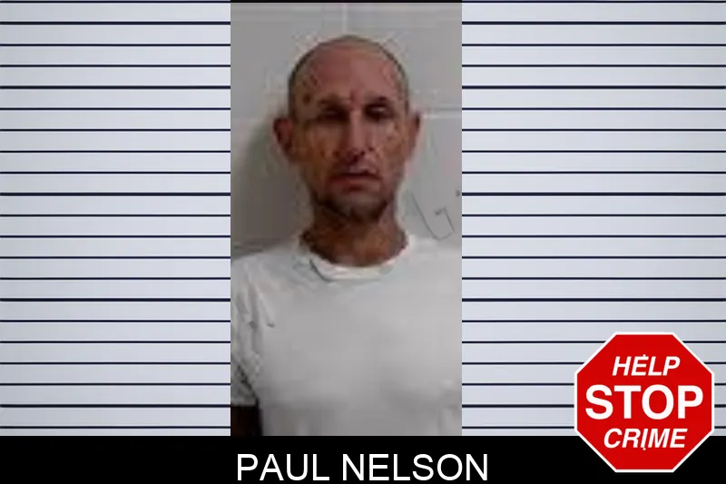Paul Nelson mugshot – Decatur County , Georgia Paul Nelson mugshot
