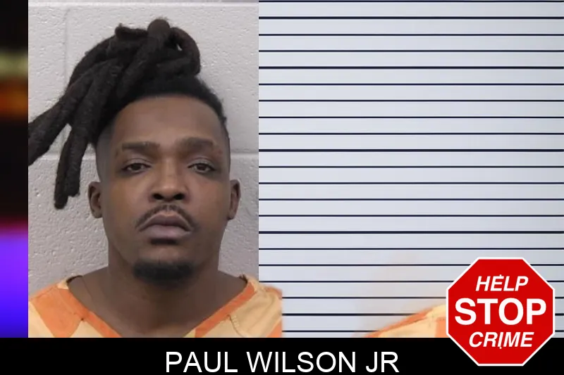 Paul Wilson Jr mugshot