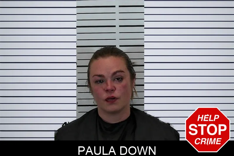 Paula Down mugshot – Hart County , Georgia Paula Down mugshot