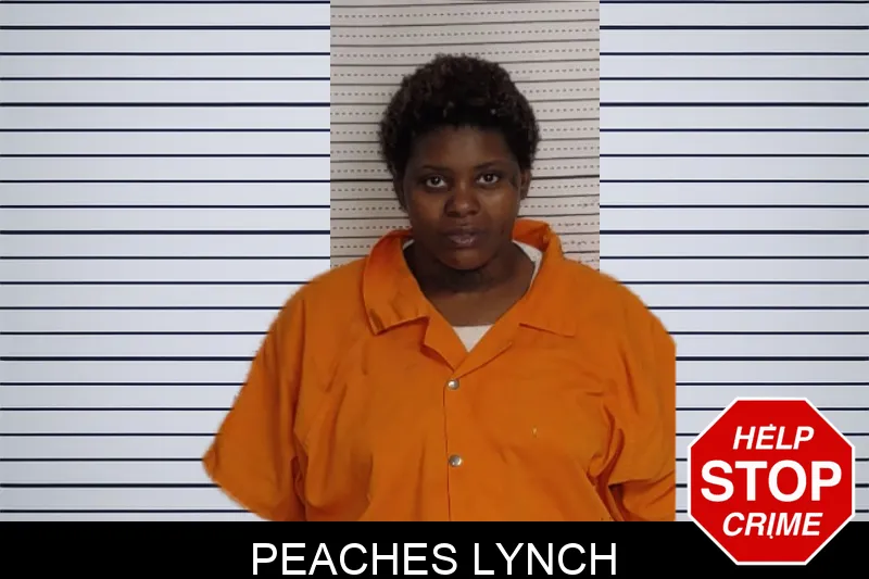 Peaches Lynch mugshot – Rockdale County , Georgia Peaches Lynch mugshot