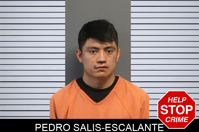 Pedro Salis-Escalante mugshot – Lumpkin County , Georgia Pedro Salis-Escalante mugshot