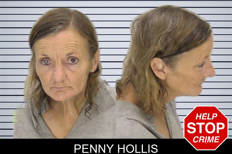 Penny Hollis mugshot – Richmond County , Georgia Penny Hollis mugshot