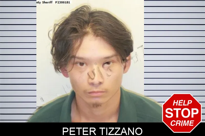 Peter Tizzano mugshot – Chatham County , Georgia Peter Tizzano mugshot
