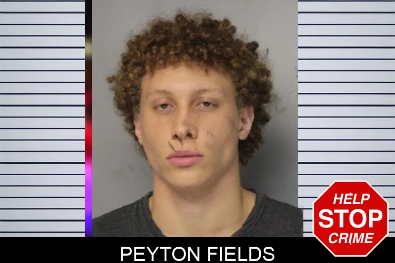 Peyton Fields mugshot – Hall County , Georgia Peyton Fields mugshot