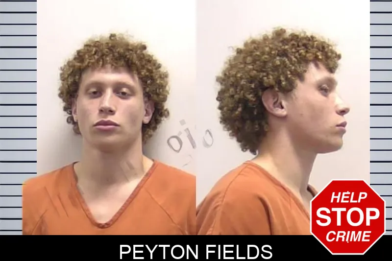 Peyton Fields mugshot – Clarke County , Georgia Peyton Fields mugshot