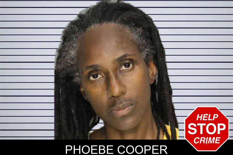 Phoebe Cooper mugshot – Cobb County , Georgia Phoebe Cooper mugshot