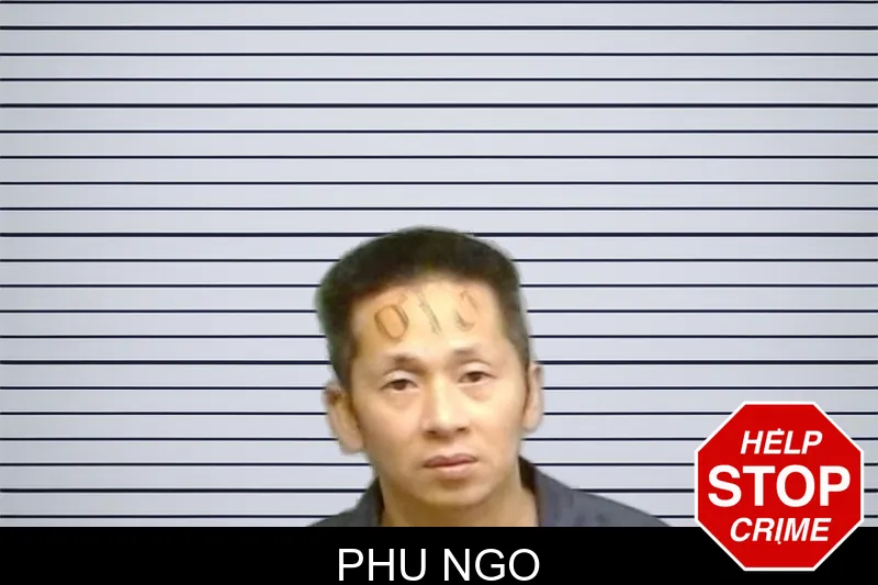 Phu Ngo mugshot – Fulton County , Georgia Phu Ngo mugshot