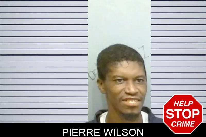 Pierre Wilson mugshot