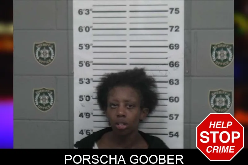Porscha Goober mugshot – Sumter County , Georgia Porscha Goober mugshot