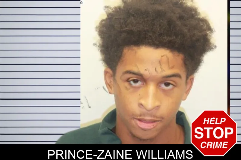 Prince-Zaine Williams mugshot – Chatham County , Georgia Prince-Zaine Williams mugshot