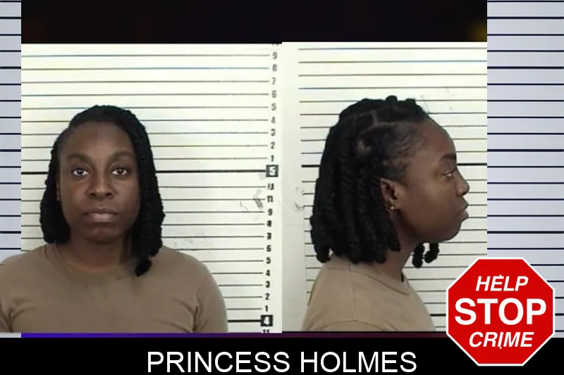 Princess Holmes mugshot – Camden County , Georgia Princess Holmes mugshot