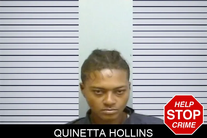 Quinetta Hollins mugshot