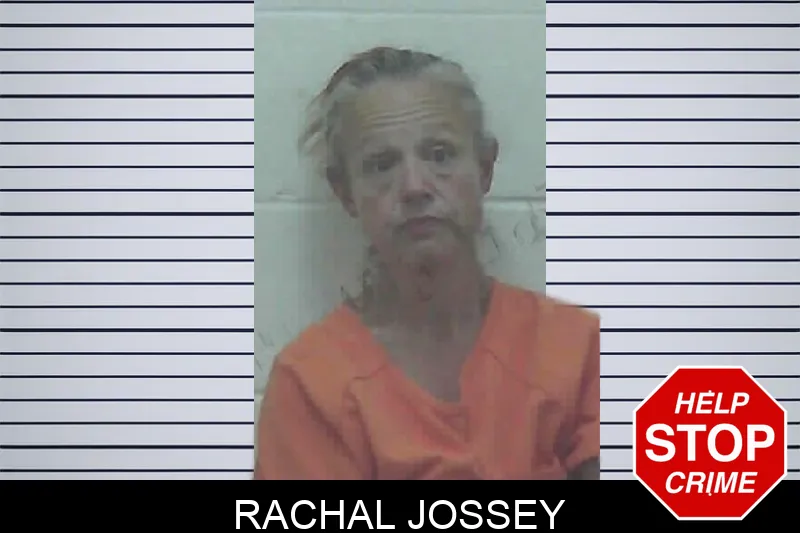 Rachal Jossey mugshot – Worth County , Georgia Rachal Jossey mugshot