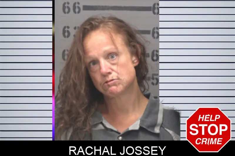 Rachal Jossey mugshot – Dougherty County , Georgia Rachal Jossey mugshot