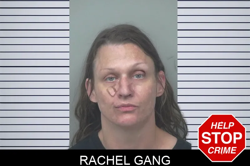 Rachel Gang mugshot – Gwinnett County , Georgia Rachel Gang mugshot